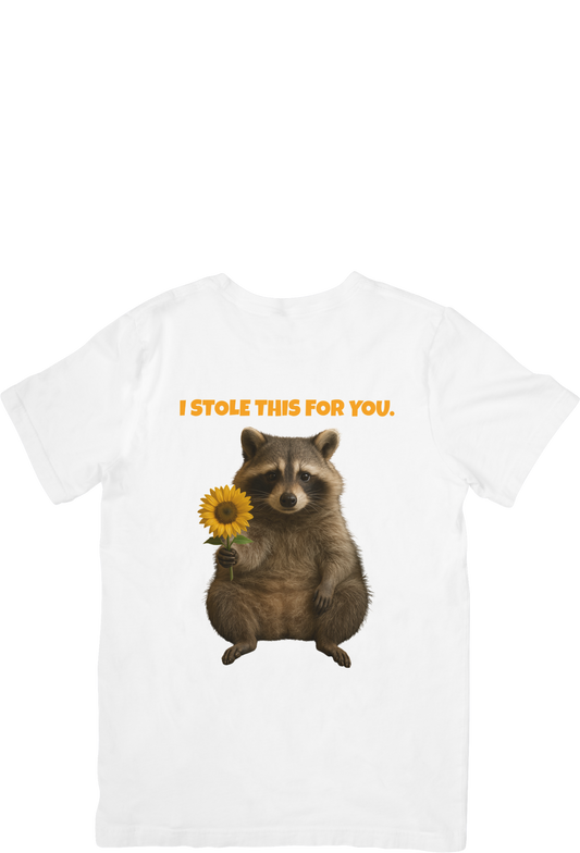 Bloomcoon | Unisex Oversized Standard T-Shirt