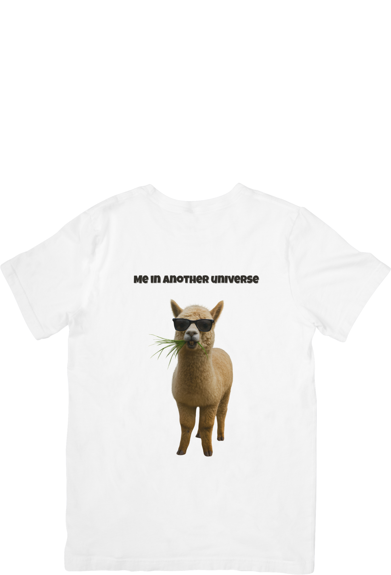 Alpaverse | Unisex Oversized Standard T-Shirt